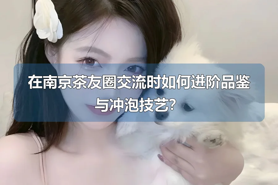 在南京茶友圈交流时如何进阶品鉴与冲泡技艺？